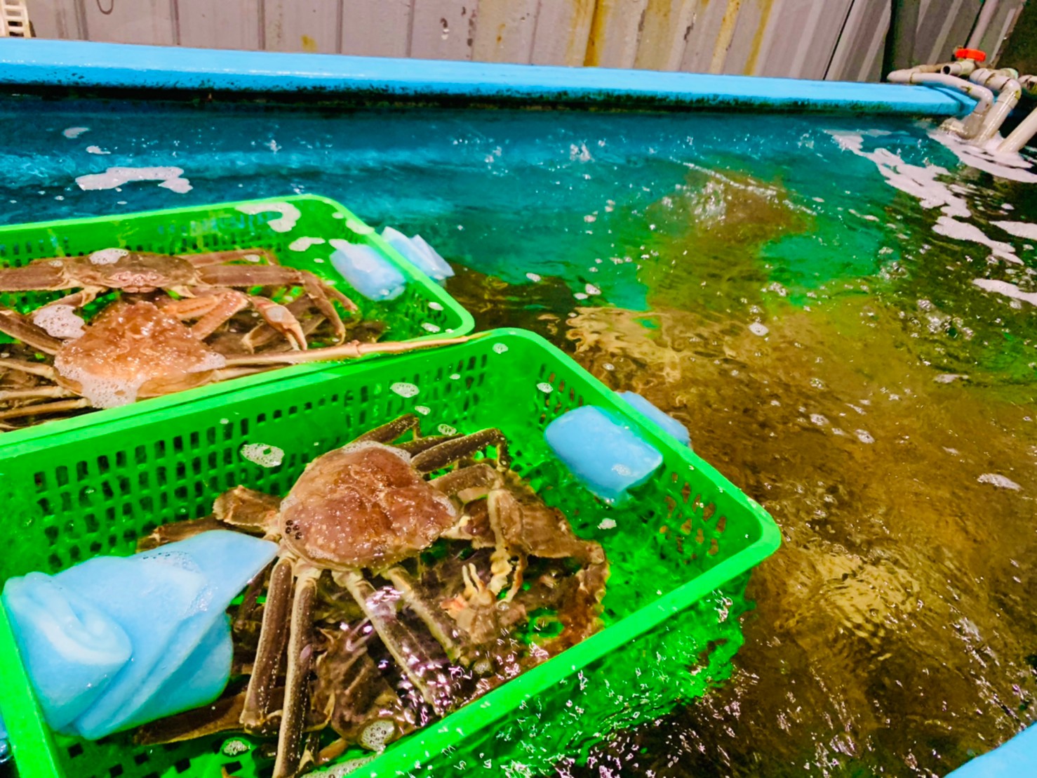 商品 立成水產進口海鮮批發有限公司